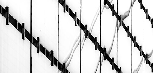 introductie fotografie basisopleiding 500x240 DSC9562 19 19 wit 1 Greetje van Son